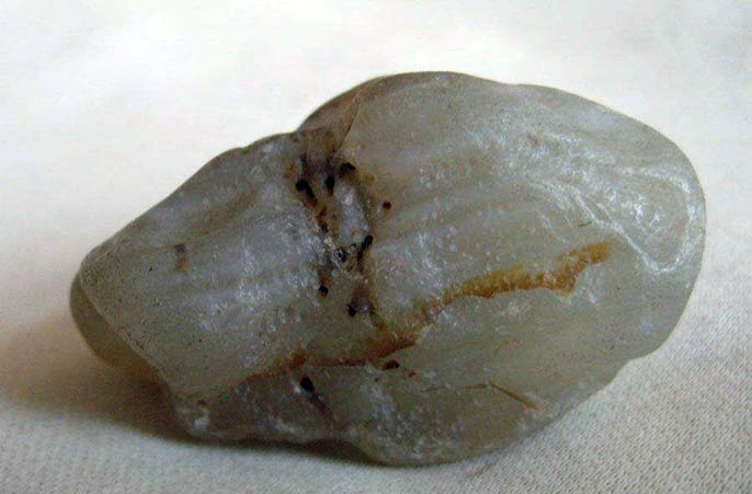 兒童淘礦科普