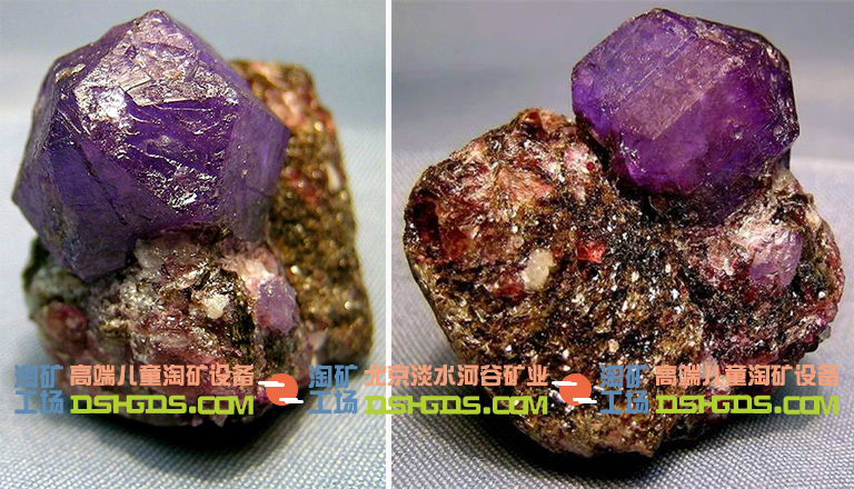 兒童淘礦科普