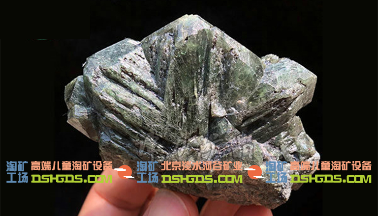兒童淘礦科普